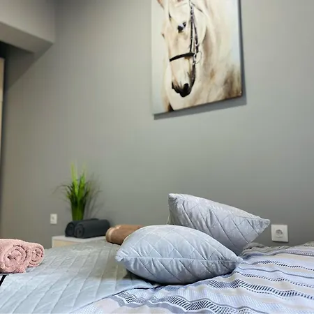 Nj Luxury And Apartament Varna